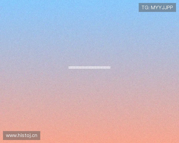 风速官方网站全方位指南带你快速了解平台功能与最新服务动态